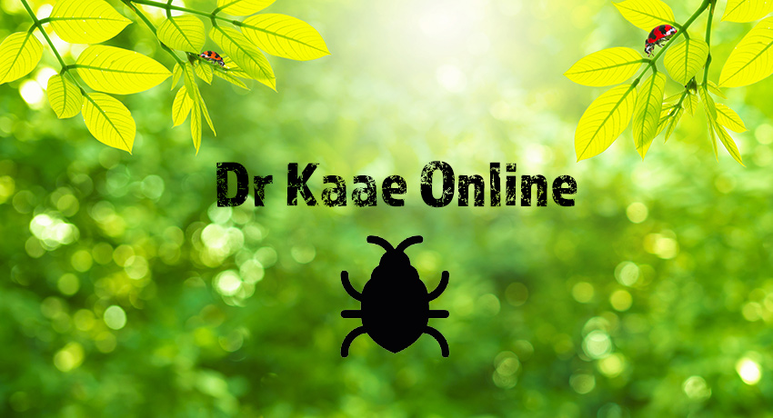 Dr Kaae Online Pest Education and Certification